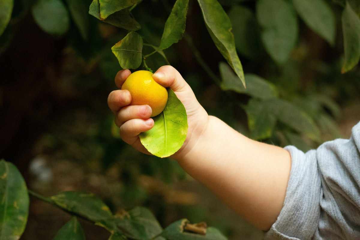 Vitamine C pour les enfants : Bienfaits et guide pratique dès 6 ans